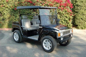 affordable golf cart rental, golf cart rent fort worth